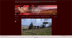 Desktop Screenshot of fontemorsi.it